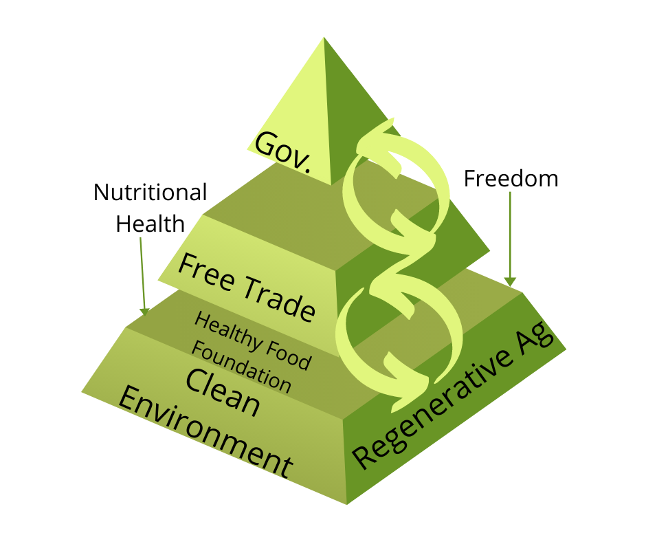 This image illustrates the ideal relationship between food systems, free trade, and government. A small government sits on top of a large free trade system that sits above an even larger food system.