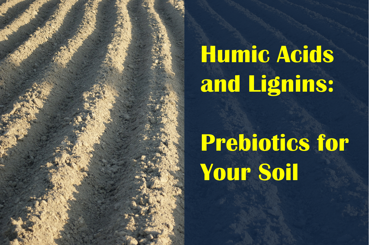 Humic Acids and Lignins are like Prebiotics for Soil