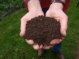 Compost is an example of a soil amendment that supports biological production