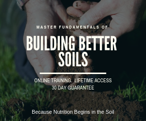 Master fundamentals of building better soils with our online class.