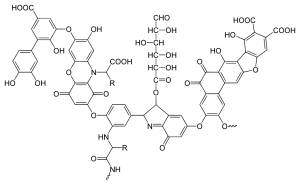 chemical structure of humic acid
