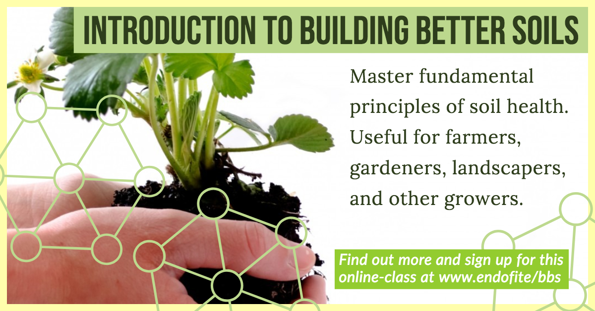 Building better soil is an online class that helps farmers and gardeners be more productive.