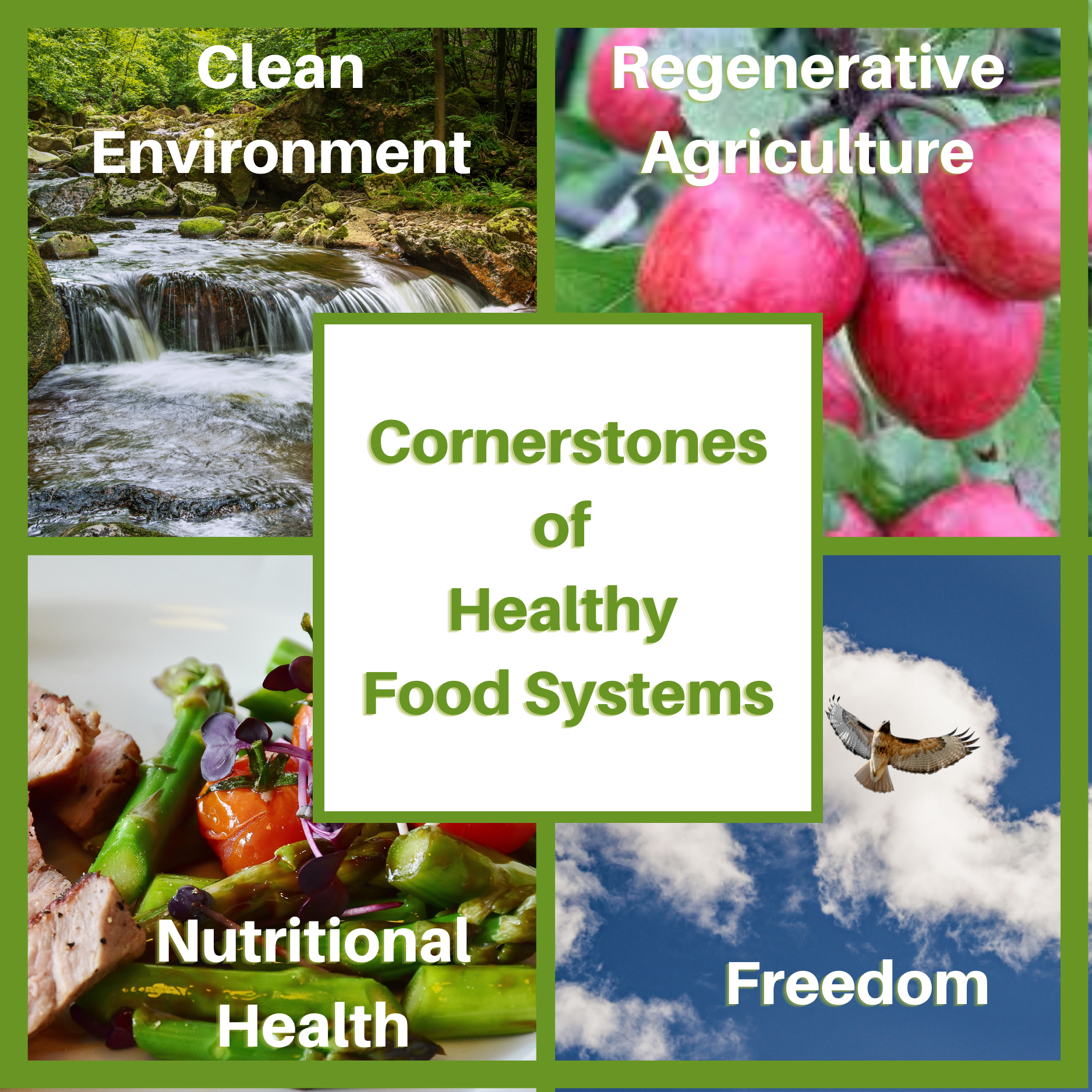 Image shows a model of healthy food systems based on 4 cornerstones of a clean environment, regenerative agriculture, nutritional health, and freedom.