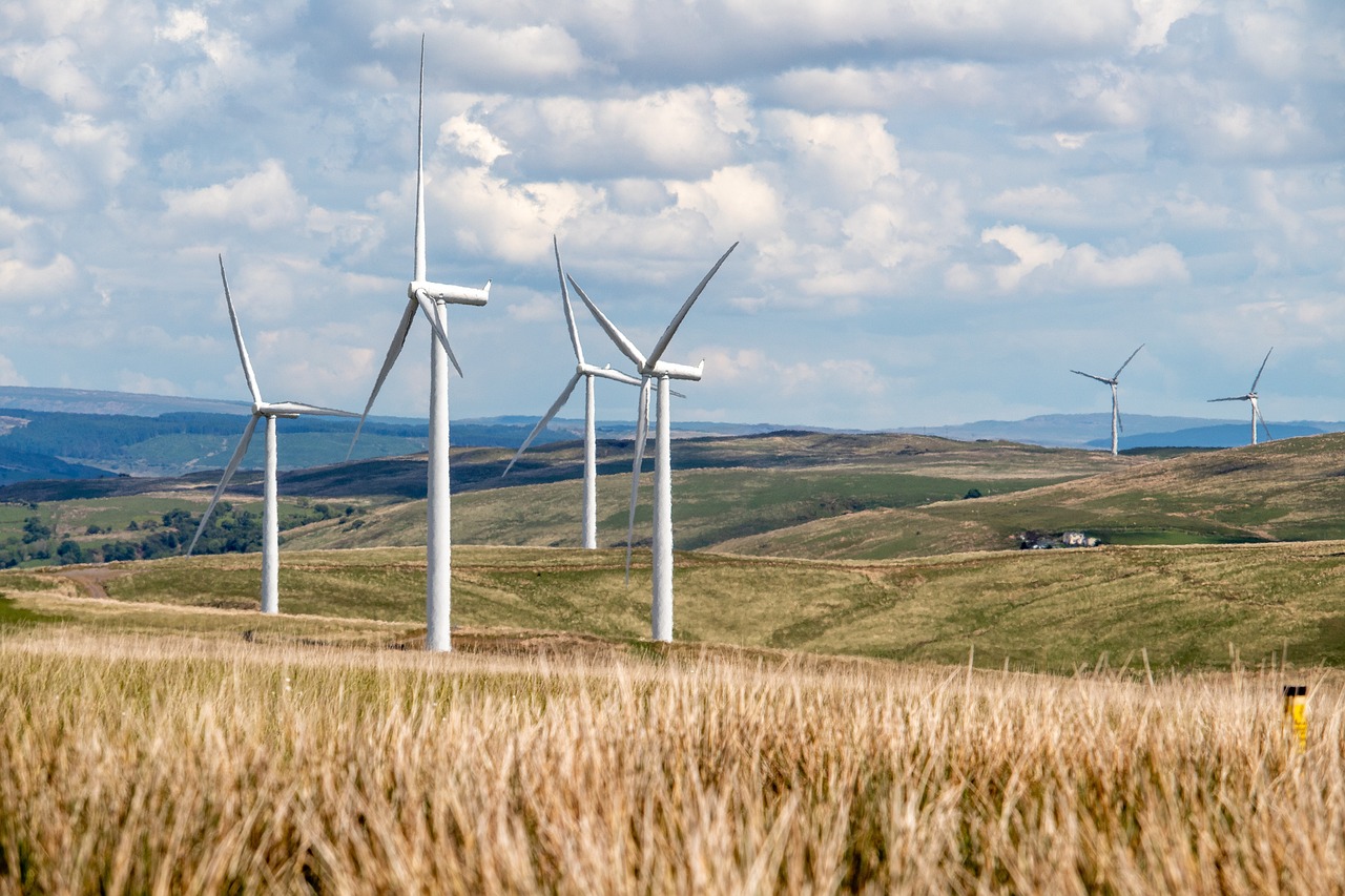 Wheat farm and surrounding wind farm highlight the macroscopic green economy as a reminder that, like wind energy, microbially rich farmland can help mitigate greenhouse gasses.